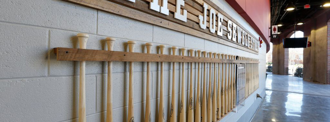Baseball Camps
